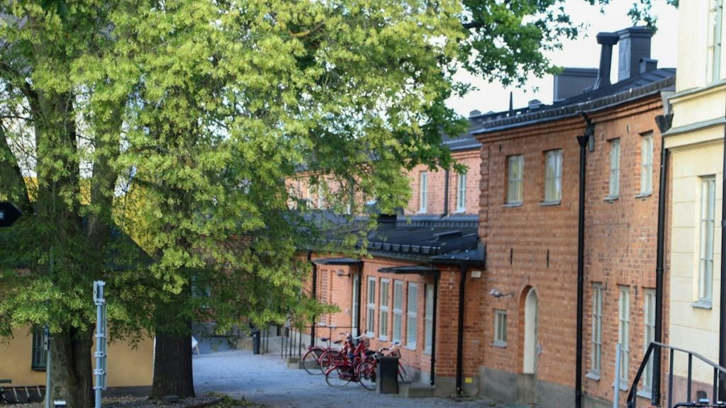 Buildings and a tree line a quiet street